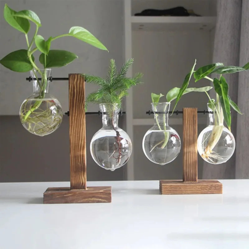 Wooden Propagation Station, 2-Bulb Glass Plant Terrarium Stand