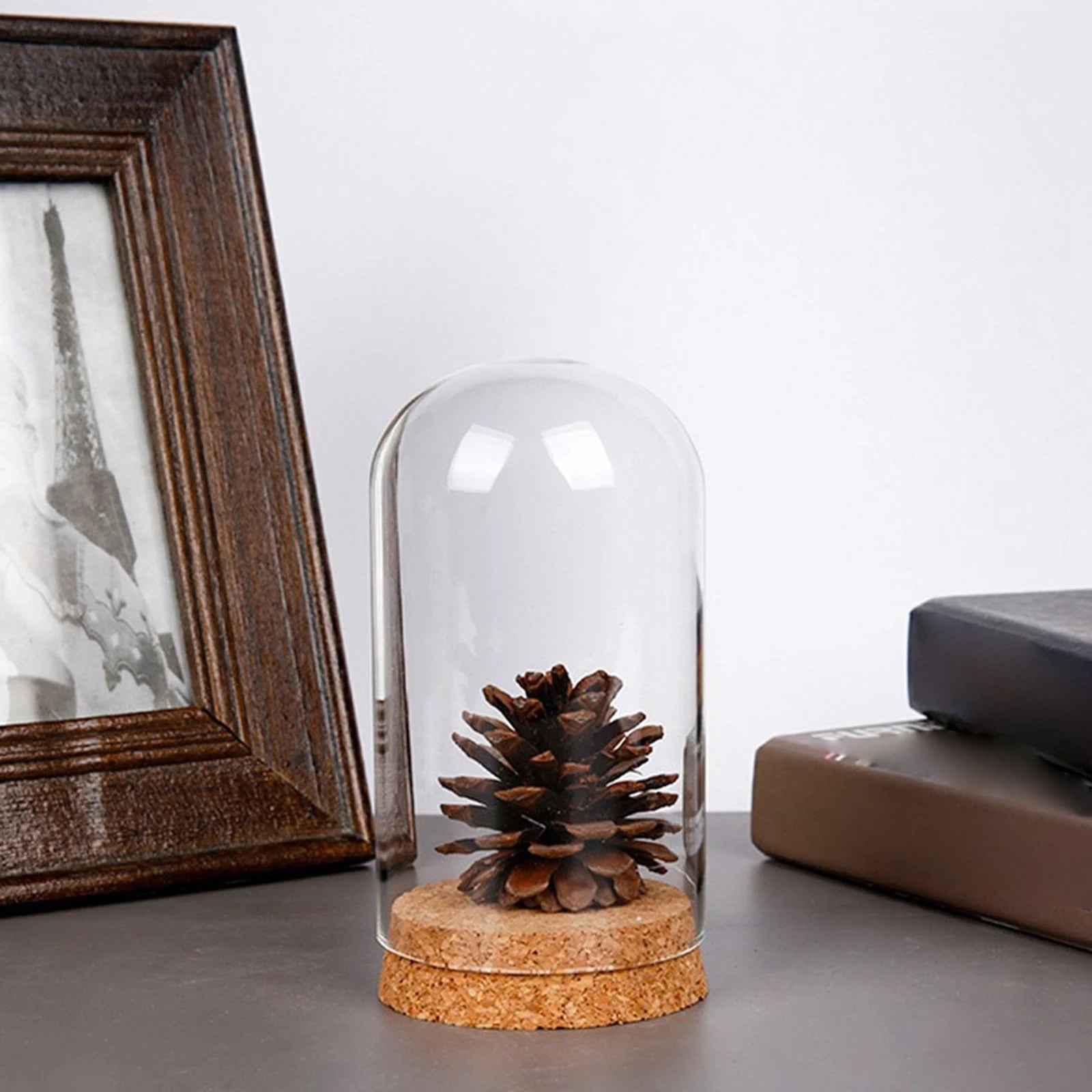 Glass Dome Display with Wooden Base product photo 4