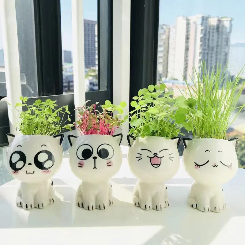 Cat Face Ceramic Planter, Mini Succulent Pot