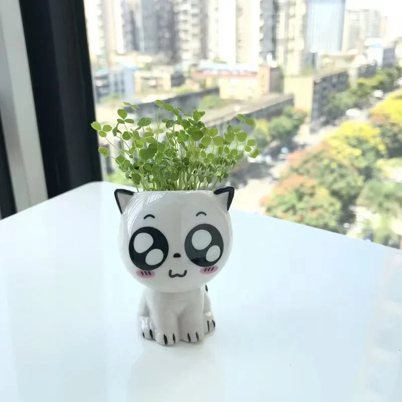 Wide-eyed cat face ceramic planter