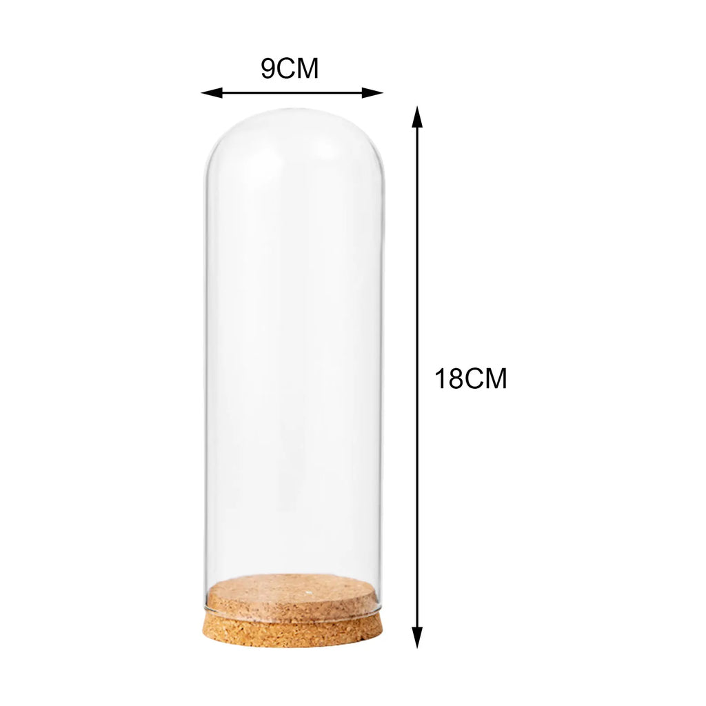 Glass Dome Display with Wooden Base product photo 6