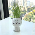 Sleepy cat face ceramic planter