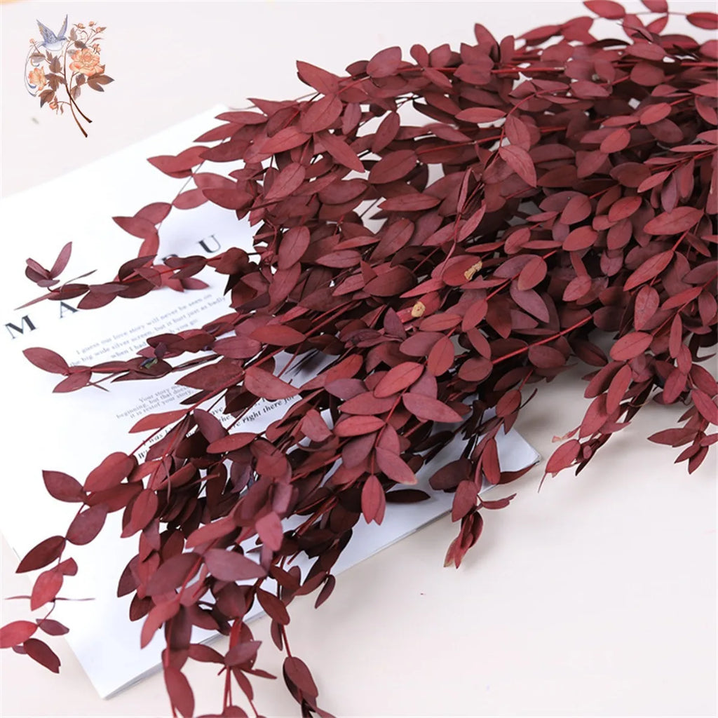Preserved Eucalyptus Leaf Bundle product photo 5