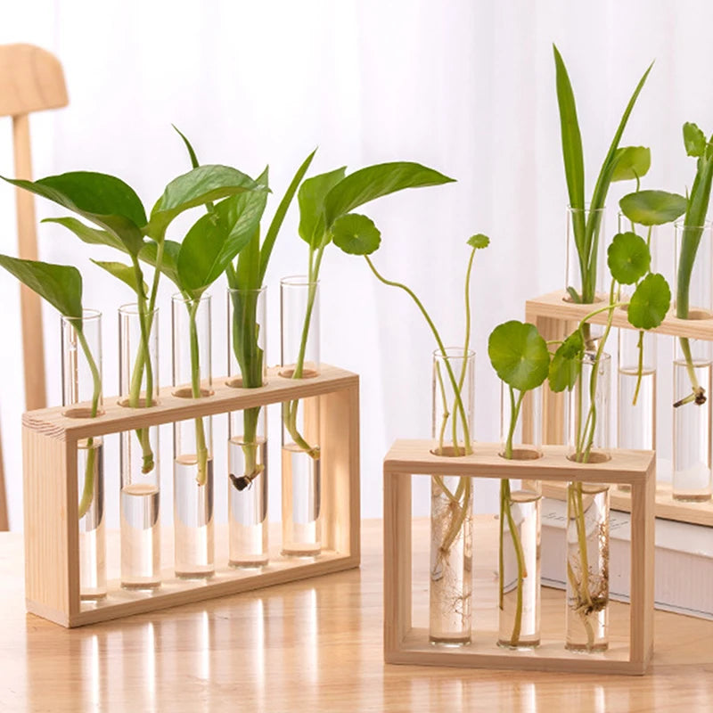 Glass tube propagation station with wood stand
