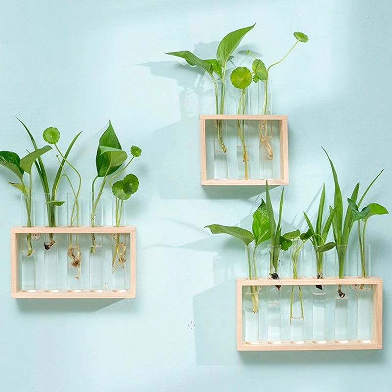 Glass tube propagation station with wood stand