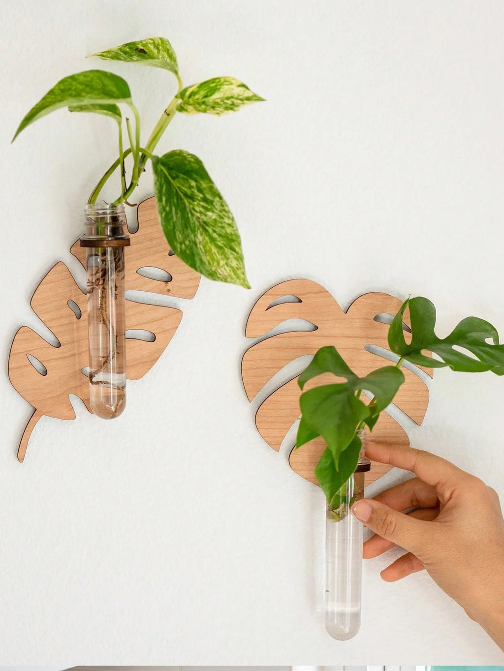 Leaf Wall Planters, Wooden Propagation Vases (Set of 2)