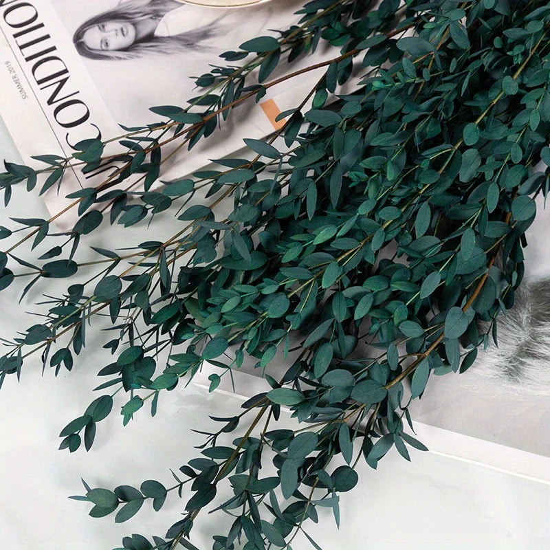 Preserved Eucalyptus Leaf Bundle product photo 7