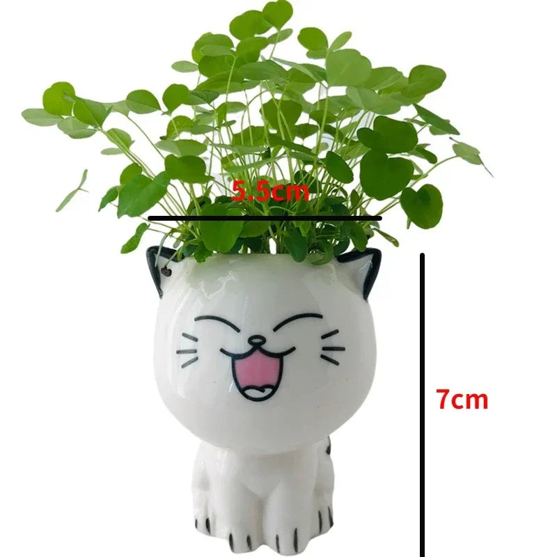 Cat Face Ceramic Planter, Mini Succulent Pot