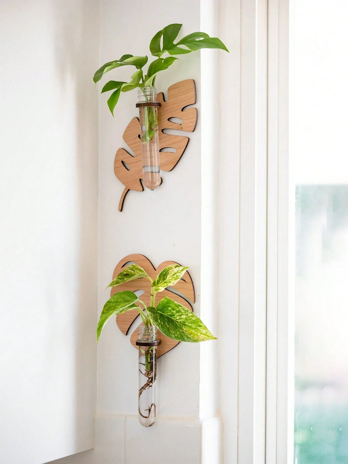 Leaf Wall Planters, Wooden Propagation Vases (Set of 2)