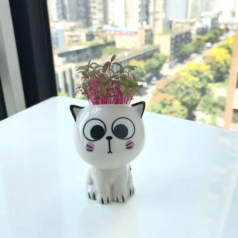 Surprised cat face ceramic planter
