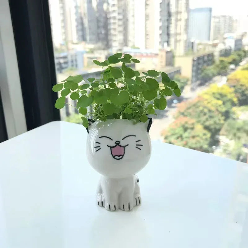 Cat Face Ceramic Planter, Mini Succulent Pot
