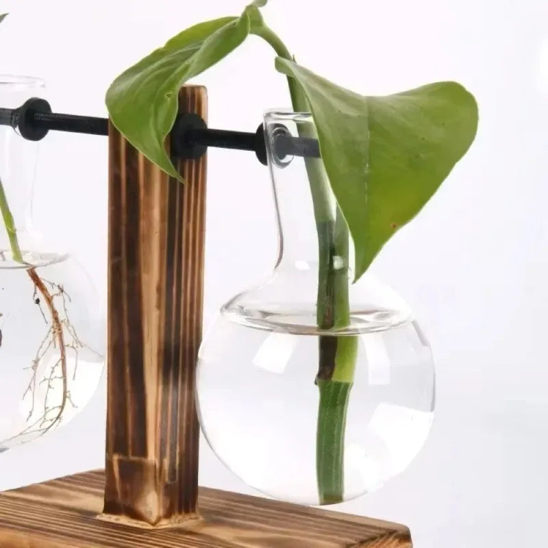 Wooden Propagation Station, 2-Bulb Glass Plant Terrarium Stand