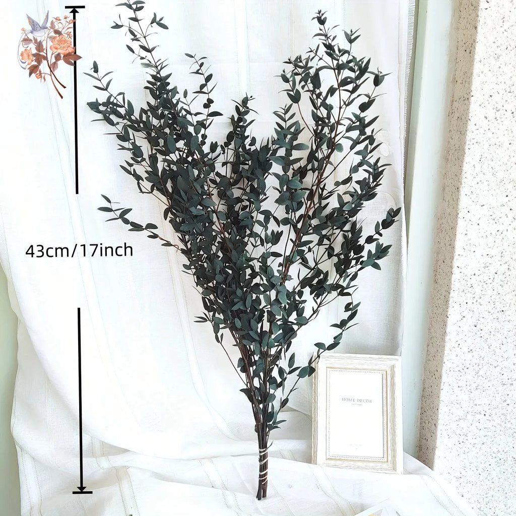 Preserved Eucalyptus Leaf Bundle product photo 4