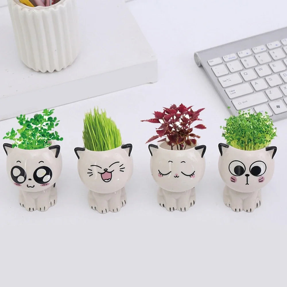 Cat Face Ceramic Planter, Mini Succulent Pot