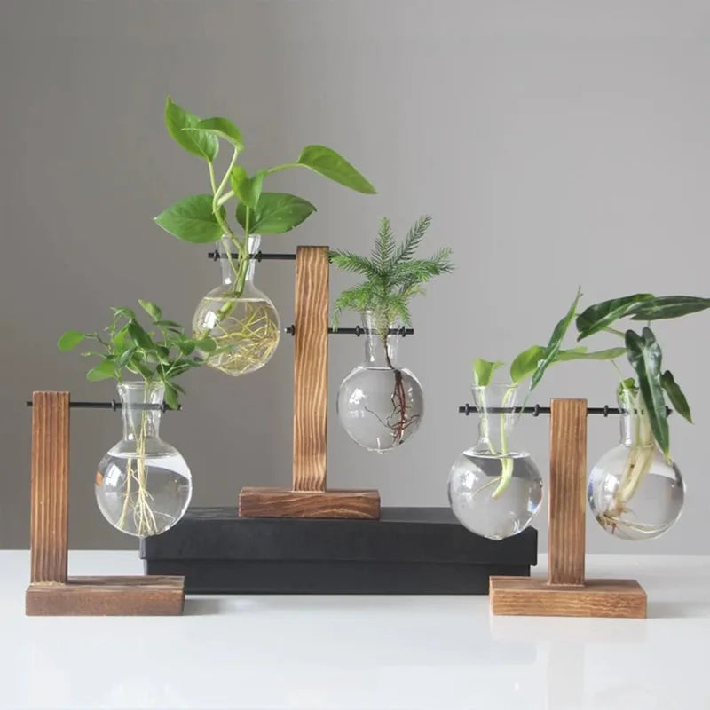 Wooden Propagation Station, 2-Bulb Glass Plant Terrarium Stand