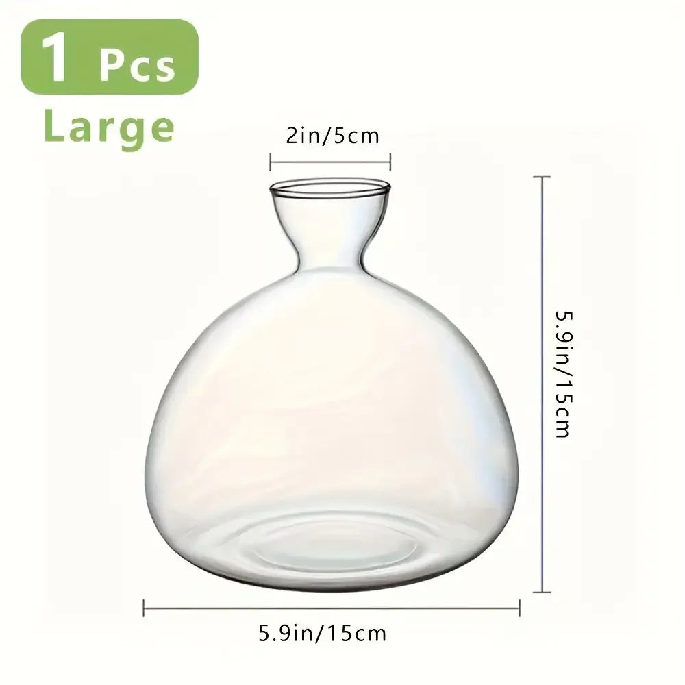 Acorn Sprouting Vase, Glass Seed Starter for Acorns & Avocados