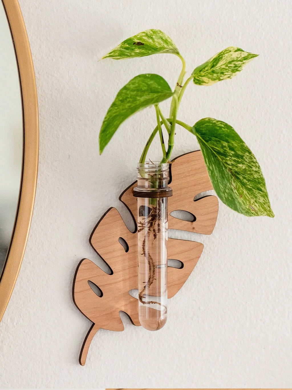 Leaf Wall Planters, Wooden Propagation Vases (Set of 2)