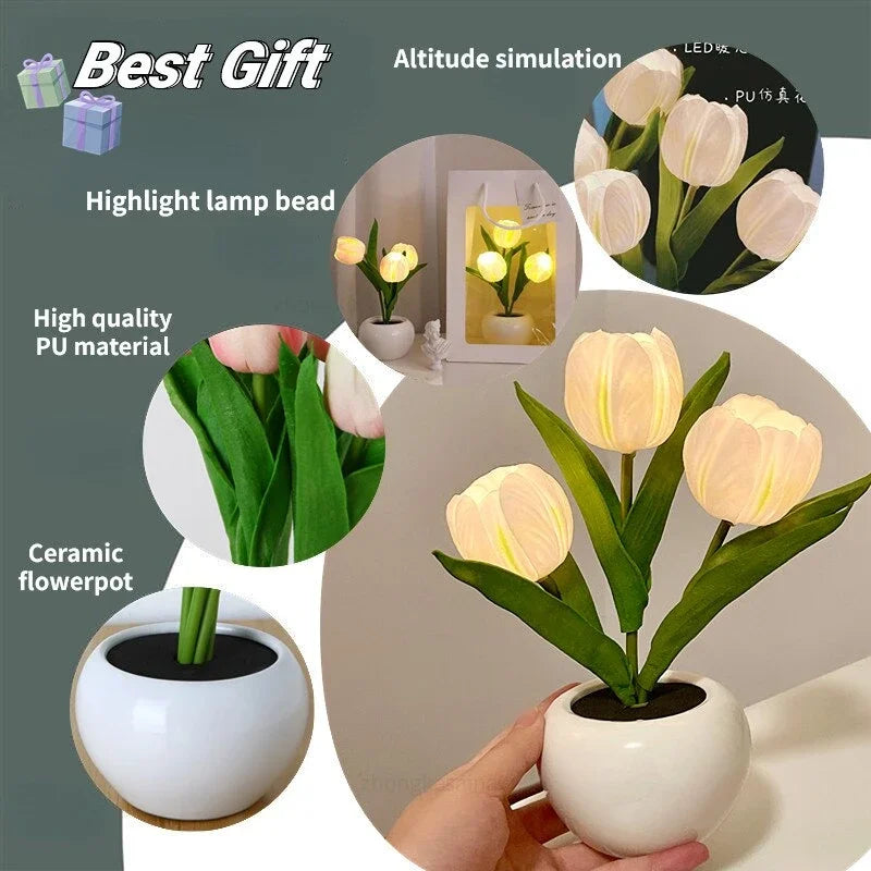Tulip Lamp, Cordless LED Flower Night Light in Ceramic Pot