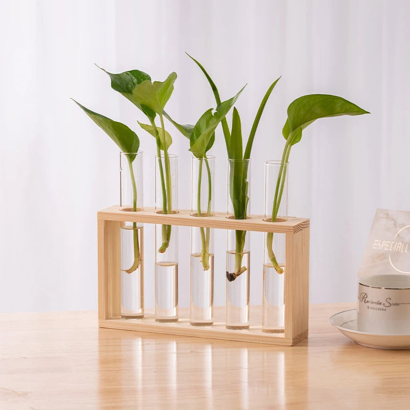 Glass tube propagation station with wood stand