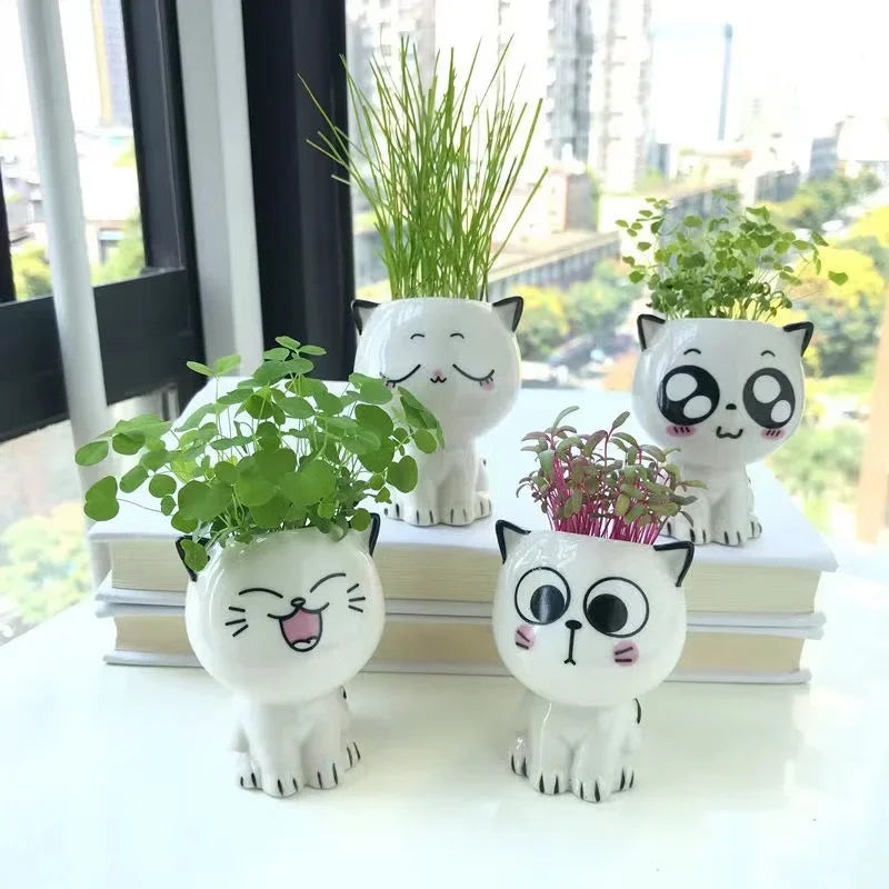 Cat Face Ceramic Planter, Mini Succulent Pot