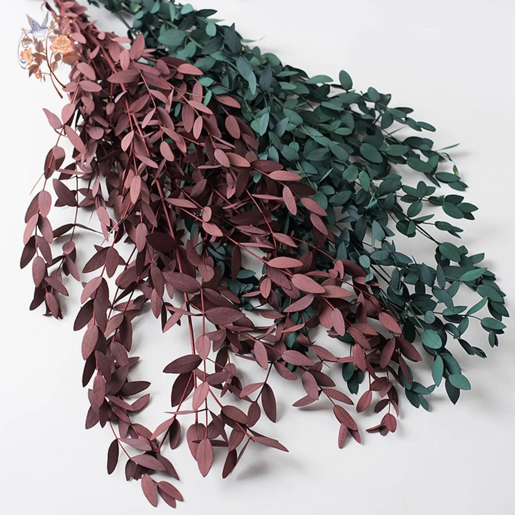Preserved Eucalyptus Leaf Bundle product photo 1