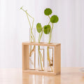 Glass tube propagation station with wood stand