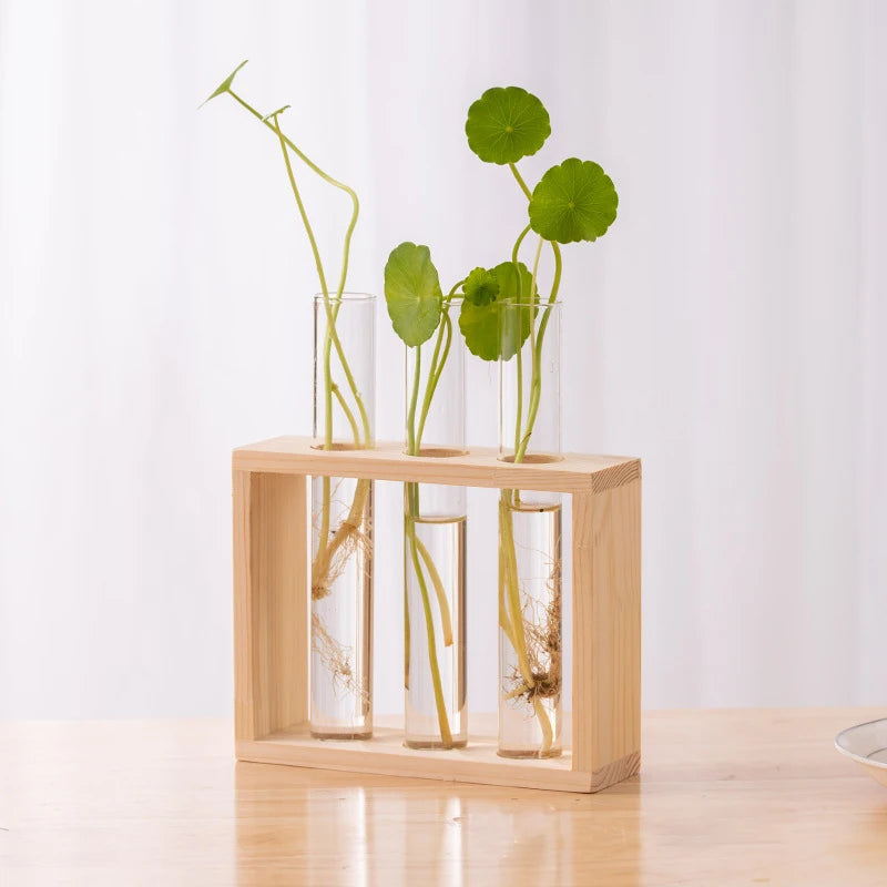 Glass tube propagation station with wood stand