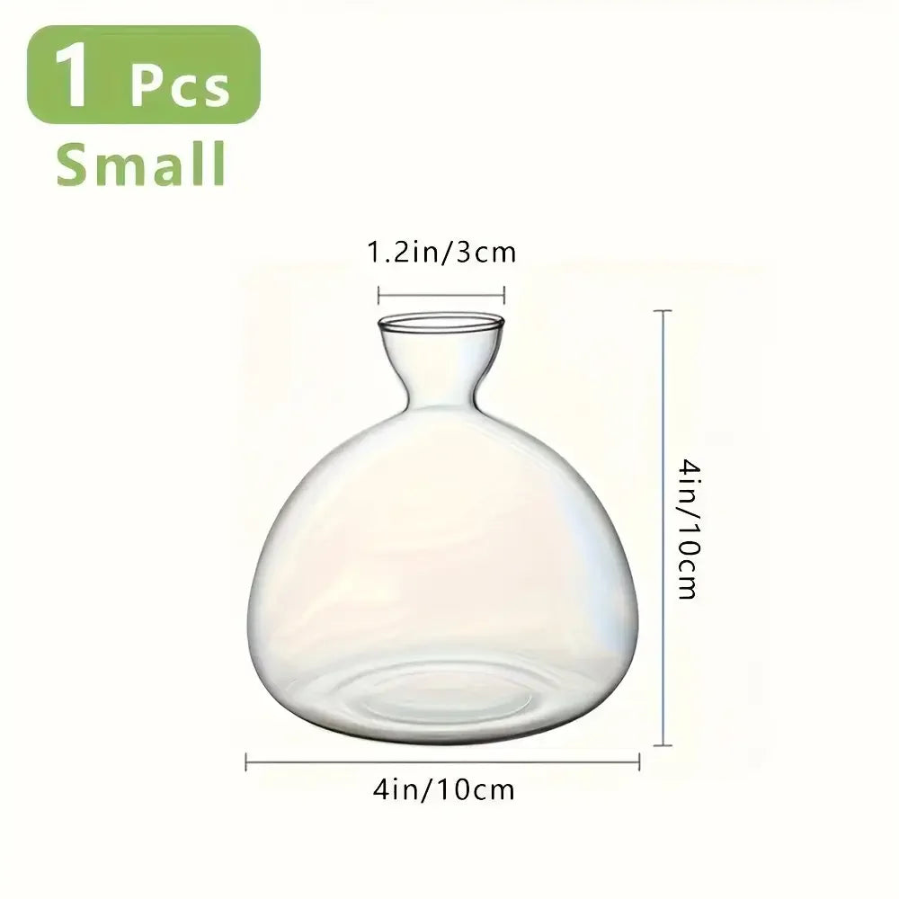 Acorn Sprouting Vase, Glass Seed Starter for Acorns & Avocados