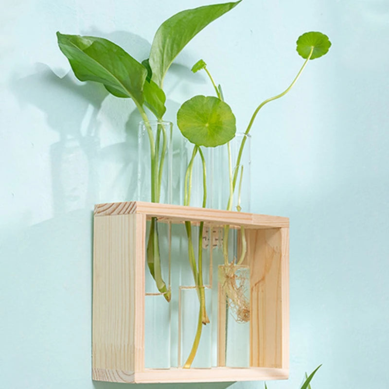 Glass tube propagation station with wood stand