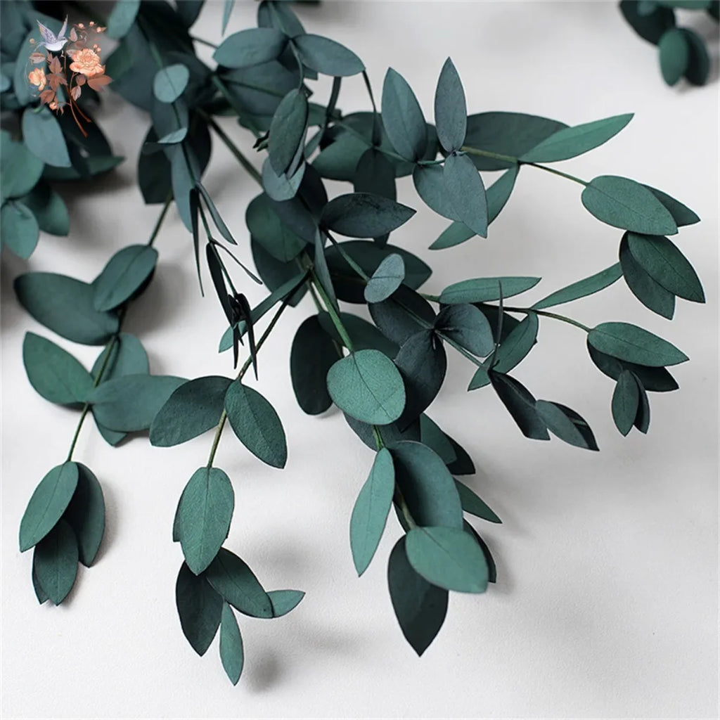 Preserved Eucalyptus Leaf Bundle product photo 6