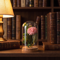 Glass Cloche Dome with Wood Base