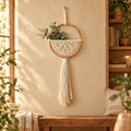 round macrame wall hanging with a small plant