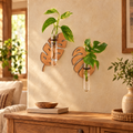 Two leaf-shaped wooden wall planters with pothos cuttings in glass tubes